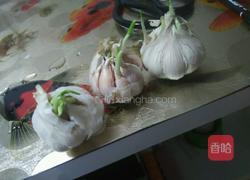 塑料豆油桶栽蒜苗的做法图解8