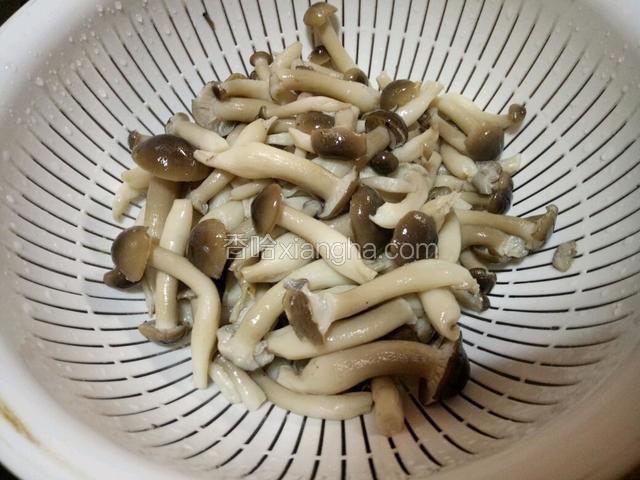 煮开后盛出沥干水备用