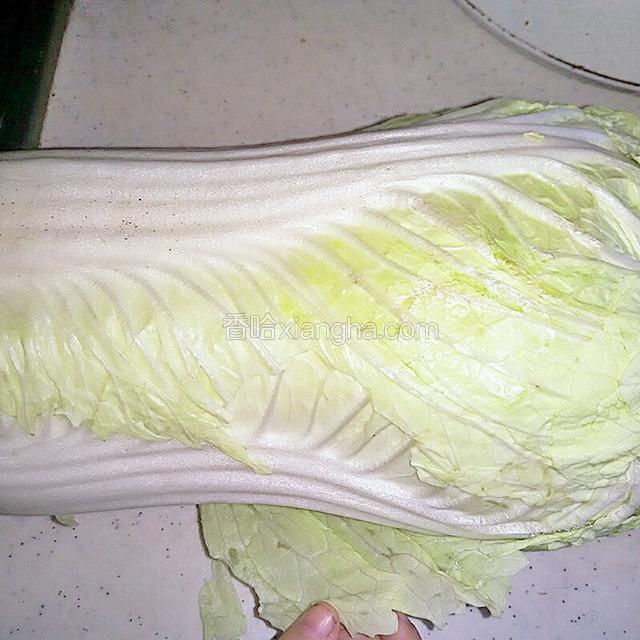 白菜1棵