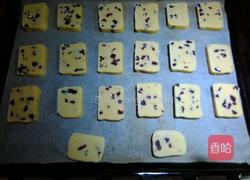 蔓越莓饼干的做法图解8