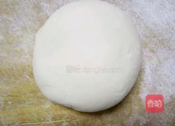 翡翠烧卖的做法图解5