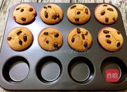 葡萄干纸杯蛋糕的做法图解17