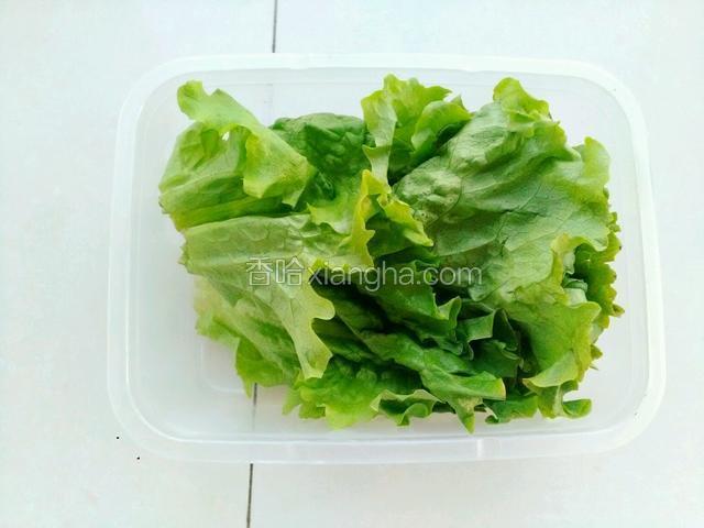 生菜洗干净