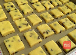 葡萄干奶酥的做法图解13