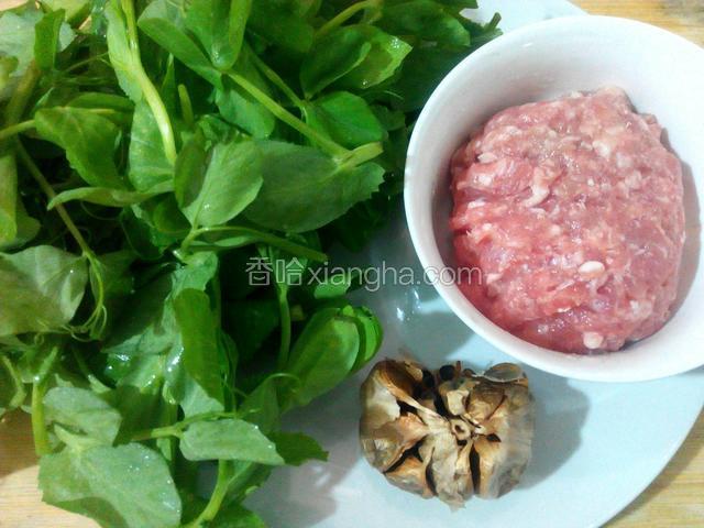 准备好材料豆苗、大蒜、猪肉(肉搅碎用盐提前腌制好)