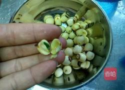 百合莲子红豆粥的做法图解4