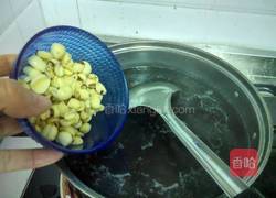 百合莲子红豆粥的做法图解7