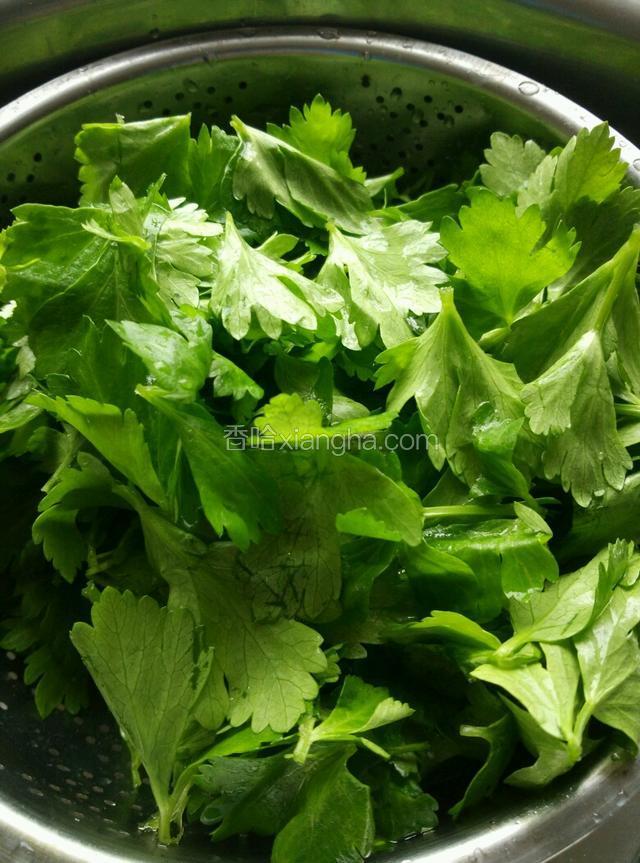 芹菜叶洗净