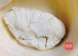 香菇粉丝鲜肉包的做法图解2