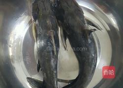 白菜鱼汤的做法图解1