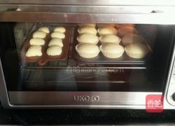 椰浆蛋糕的做法图解19