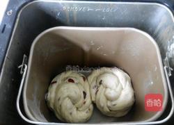 蔓越莓土司的做法图解12