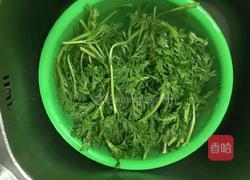 蒜茸茼蒿的做法图解2