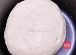 鲜肉笋干包子（今天是小年愿所有朋友一帆风顺、年年有鱼（余））。的做法图解1