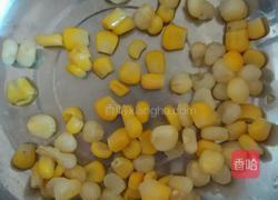 花式卤肉饭的做法图解5