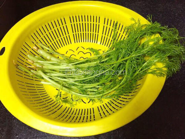 洗菜。把准备好的茴香洗净。也可以用别的菜代替，看个人喜好，不过个人觉得茴香配着玉米面口感和气味最配。