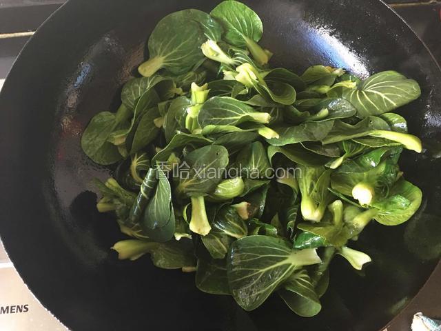 锅内放入适量油，放入青菜翻炒加入适量盐。