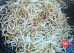 绿豆芽爆炒干豆腐的做法图解4