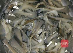 青菜蘑菇的做法图解3