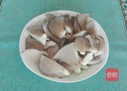 平菇炒黄瓜的做法图解3