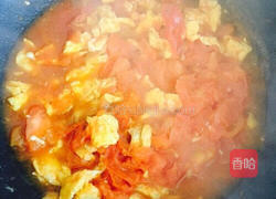 【简易版】番茄炒蛋的做法图解9