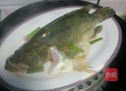 清蒸鳜鱼的做法图解3