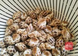 白灼花螺的做法图解2