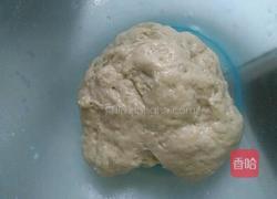 鲜奶面包的做法图解9