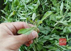 叶子籺的做法图解8