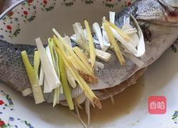 清蒸鲈鱼的做法图解4