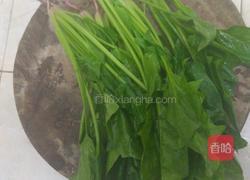 菠菜炒蛋的做法图解3