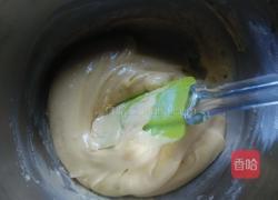 植物油版曲奇的做法图解6