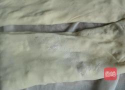 菜锅贴的做法图解6