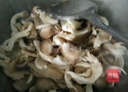 韭菜炒蘑菇的做法图解5
