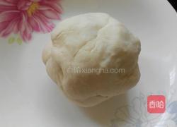 自制白菜猪肉锅贴的做法图解1