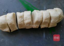 自制白菜猪肉锅贴的做法图解3