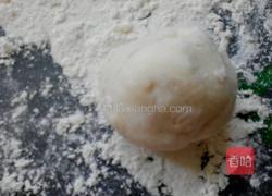 自制白菜猪肉锅贴的做法图解4