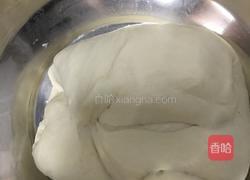 麻辣凉皮的做法图解1