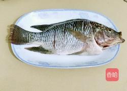 豆豉蒸福寿鱼的做法图解1