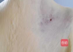 蔓越莓花形面包的做法图解2