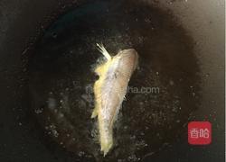 红烧小黄鱼的做法图解4