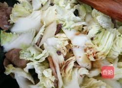 麻辣白菜的做法图解5