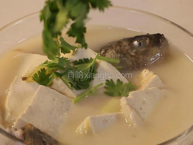 待汤浓白出锅装盘，滴上香油，撒上香菜。