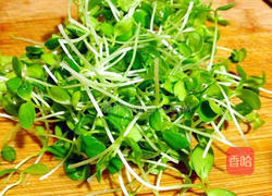 香椿苗炒鸡蛋的做法图解1