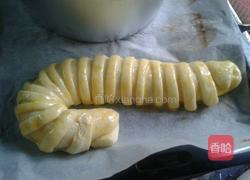 毛毛虫面包的做法图解9