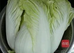 金钓白菜的做法图解1