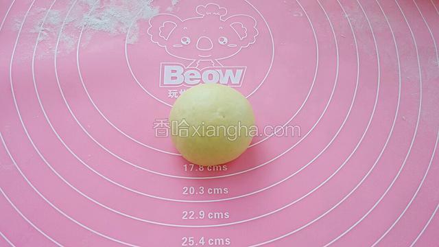 再卷起揉匀滚圆。
