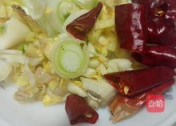 宫保鸡丁的做法图解3