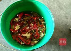 泡菜的做法图解4