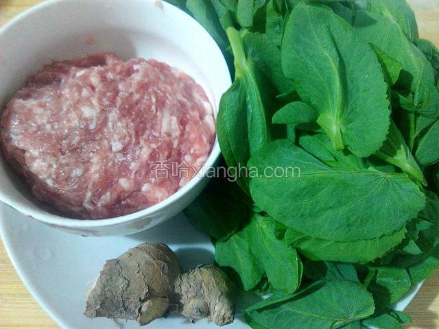 材料豆苗、猪肉(提前用搅拌机搅碎、用盐、生粉、油、腌制好)、姜